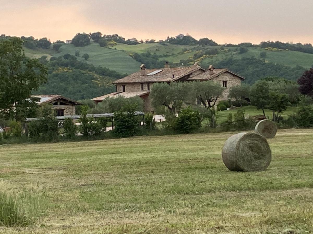Agriturismo Caiferri Con Spa Apartment *